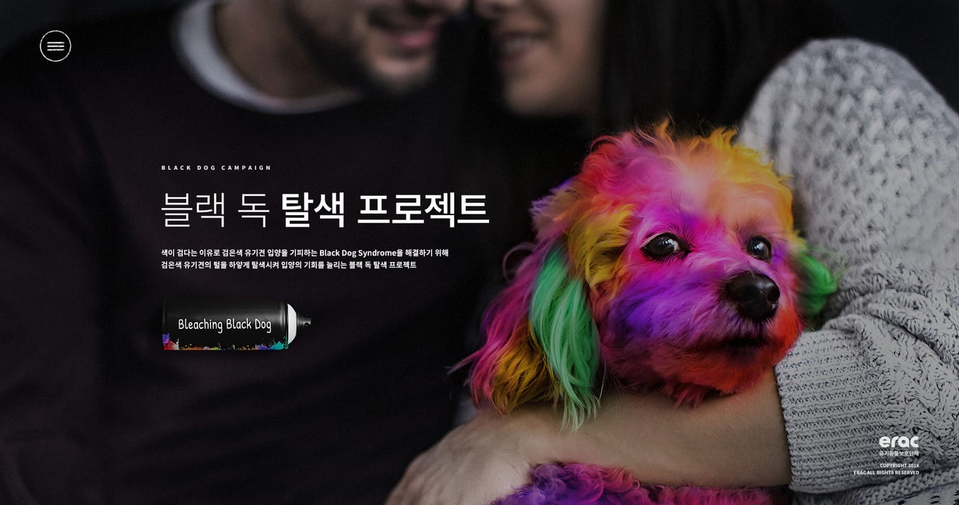 케어(CARE) '블랙독 캠페인' UX/UI 구축 3