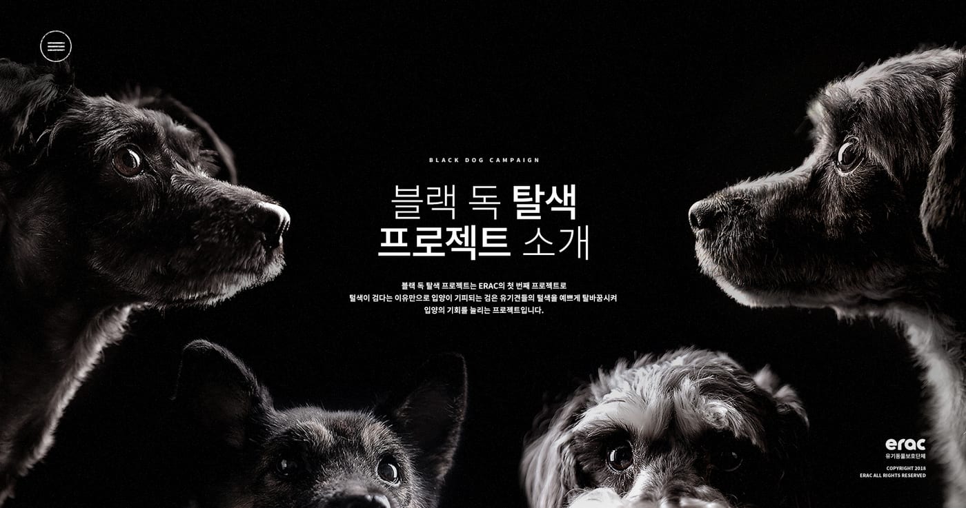 케어(CARE) '블랙독 캠페인' UX/UI 구축 6